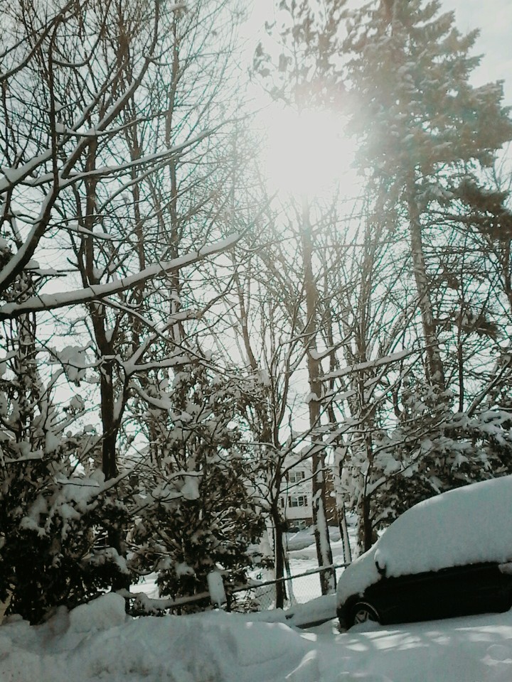 snowy days