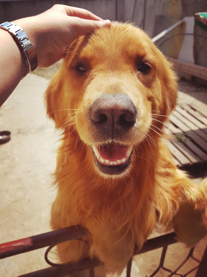 Happiness