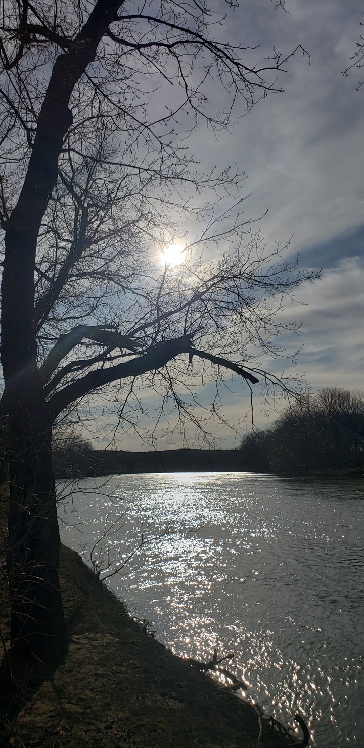 view by the riverbank