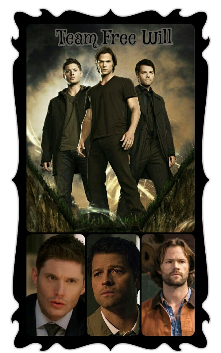 Team Free Will