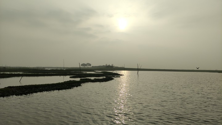 Early Morning