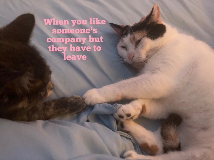 Touch