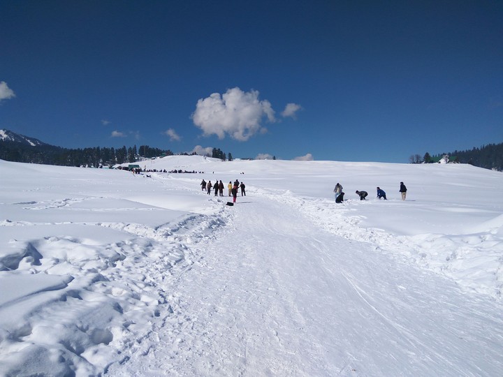 Winter Holidays