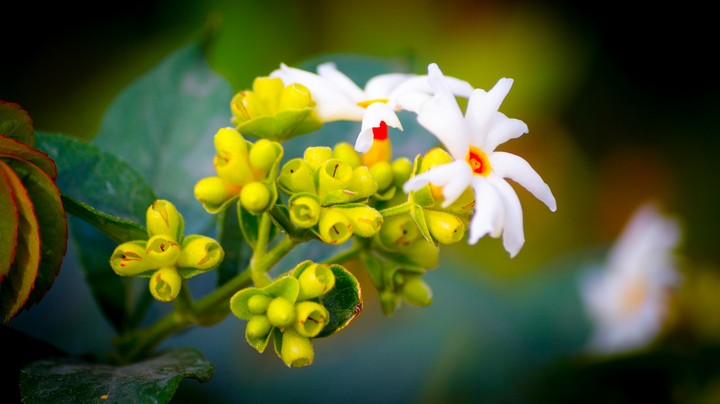 Rs_photography,  by sharath.