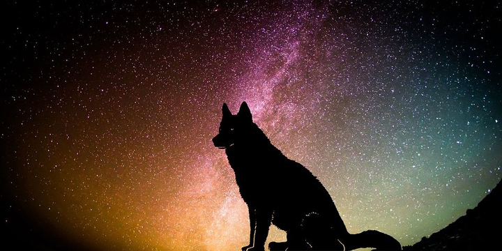 ✨✨