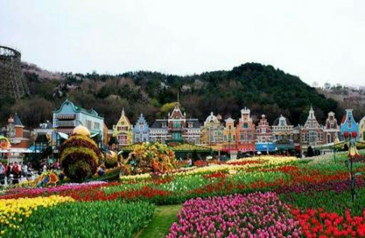 Everland, Korea