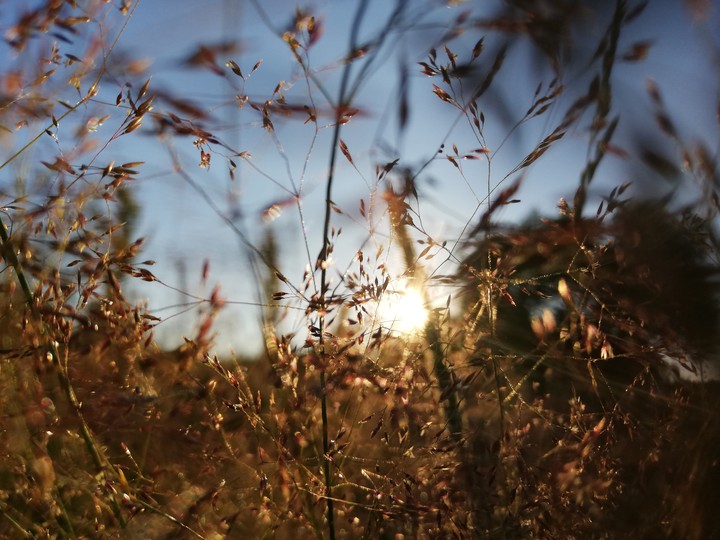 sun