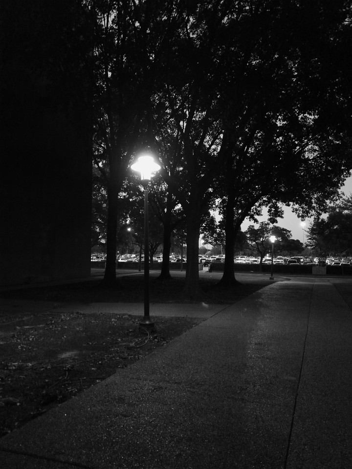 Rainy Night