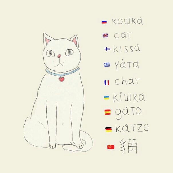 "Кошка" на разных языках мира.