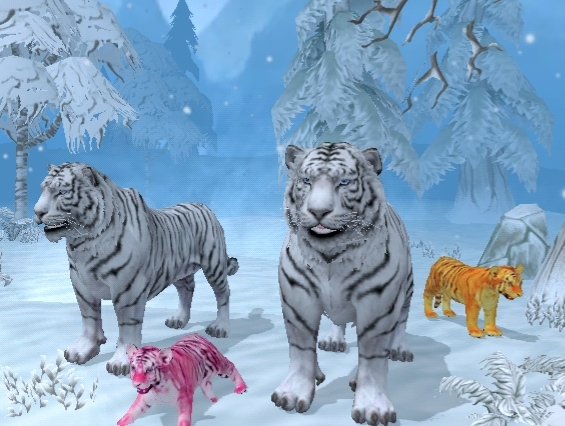 tigers