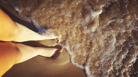sandy shore