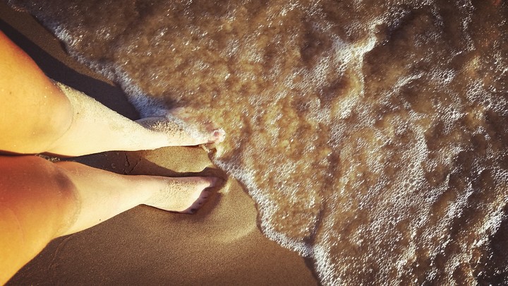 sandy shore
