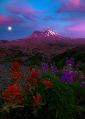 Colourful