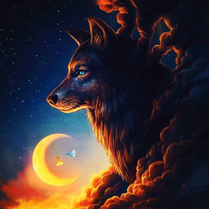 I own wolf is am