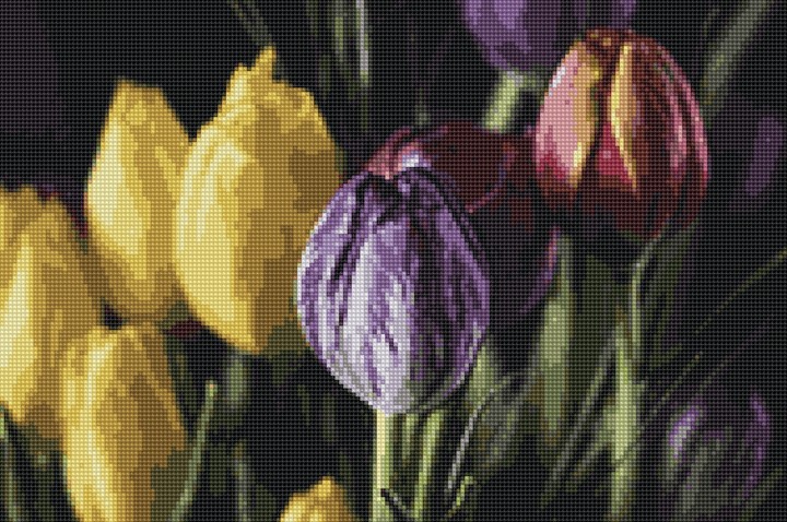 tulips