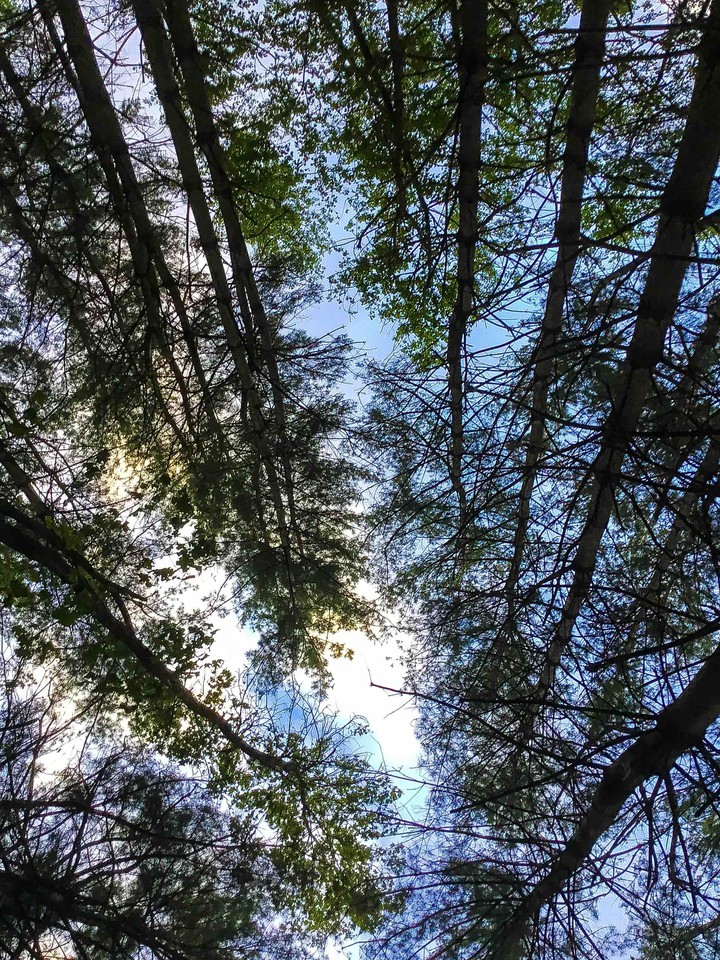 A Different Perspective