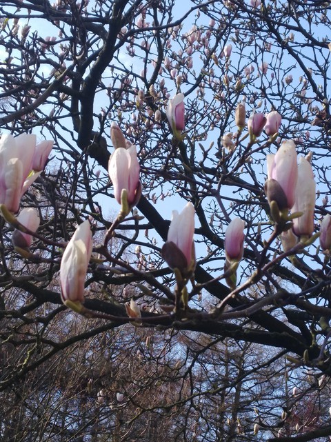 Frühling