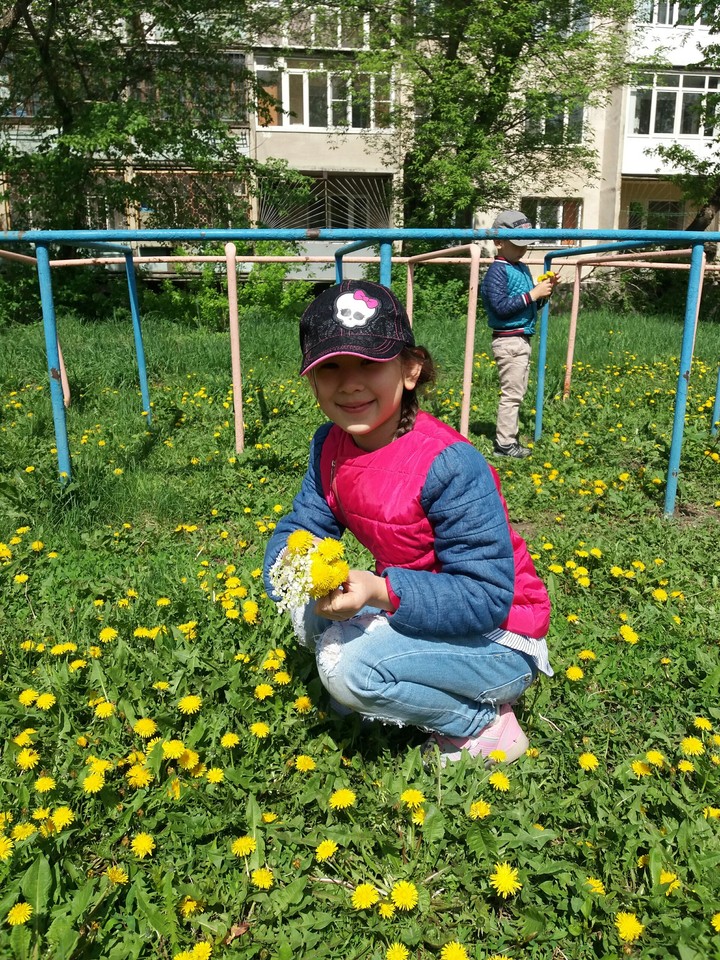 Dandelion