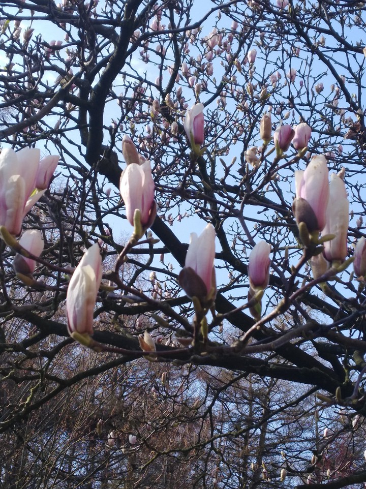 Frühling