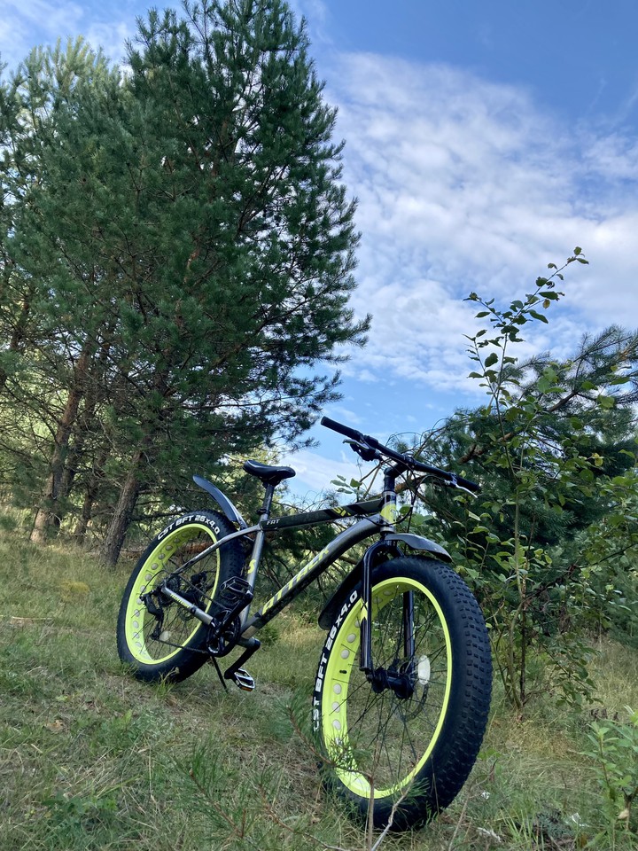 bike trip
