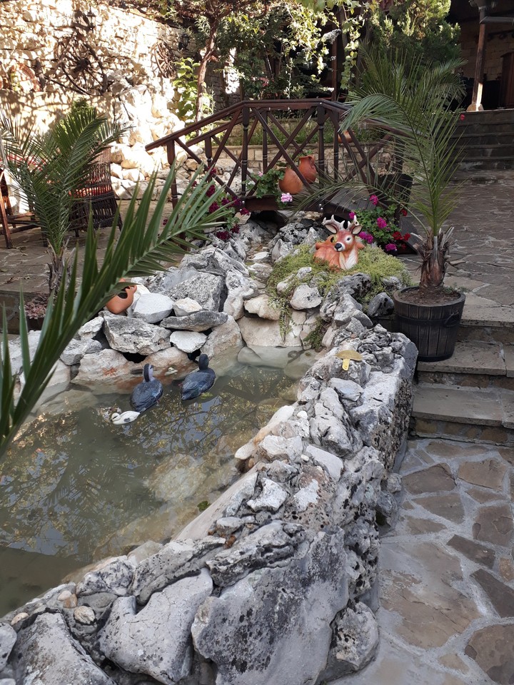 summer garden