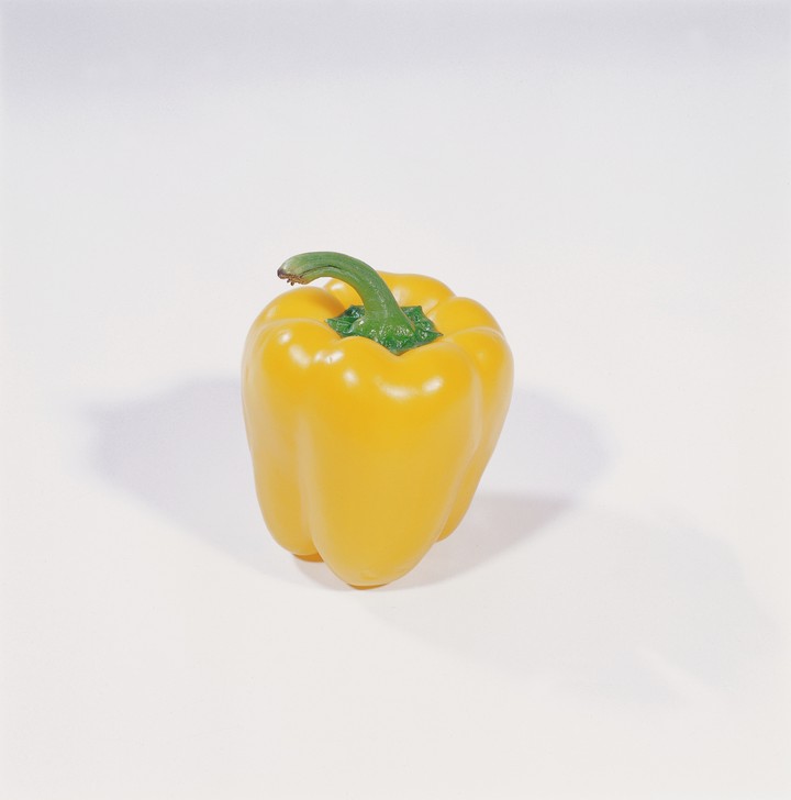 음식이미지