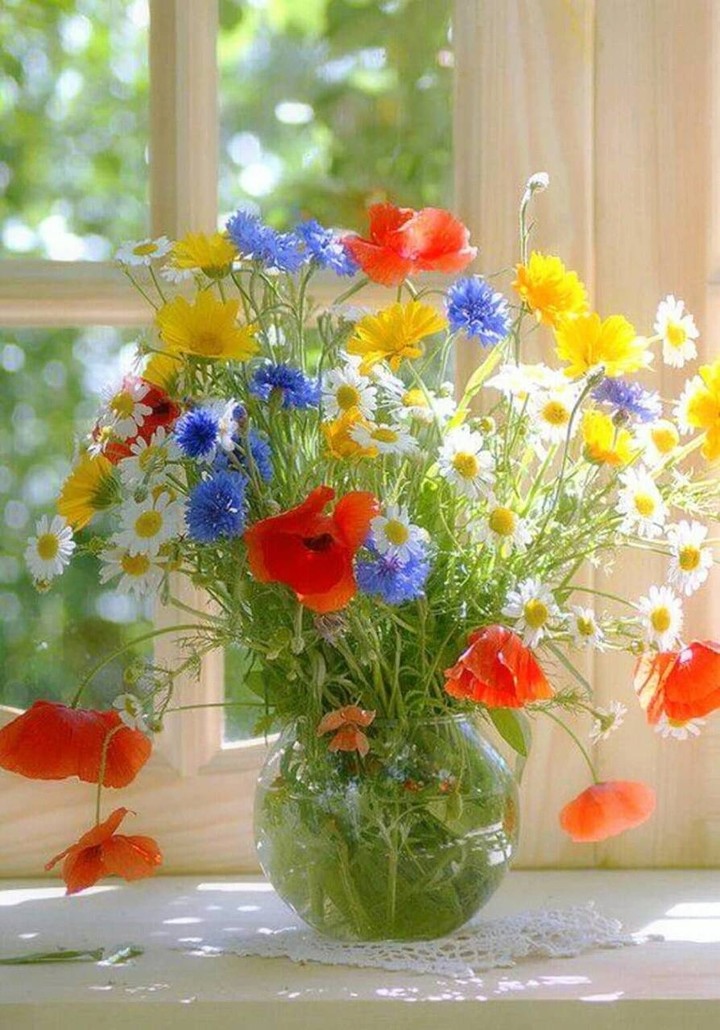 گۆڵی جوان.......beautiful flowers