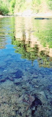 la trasparenza  dell'acqua