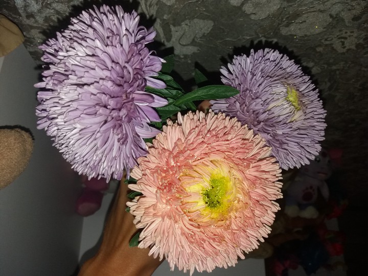 flower