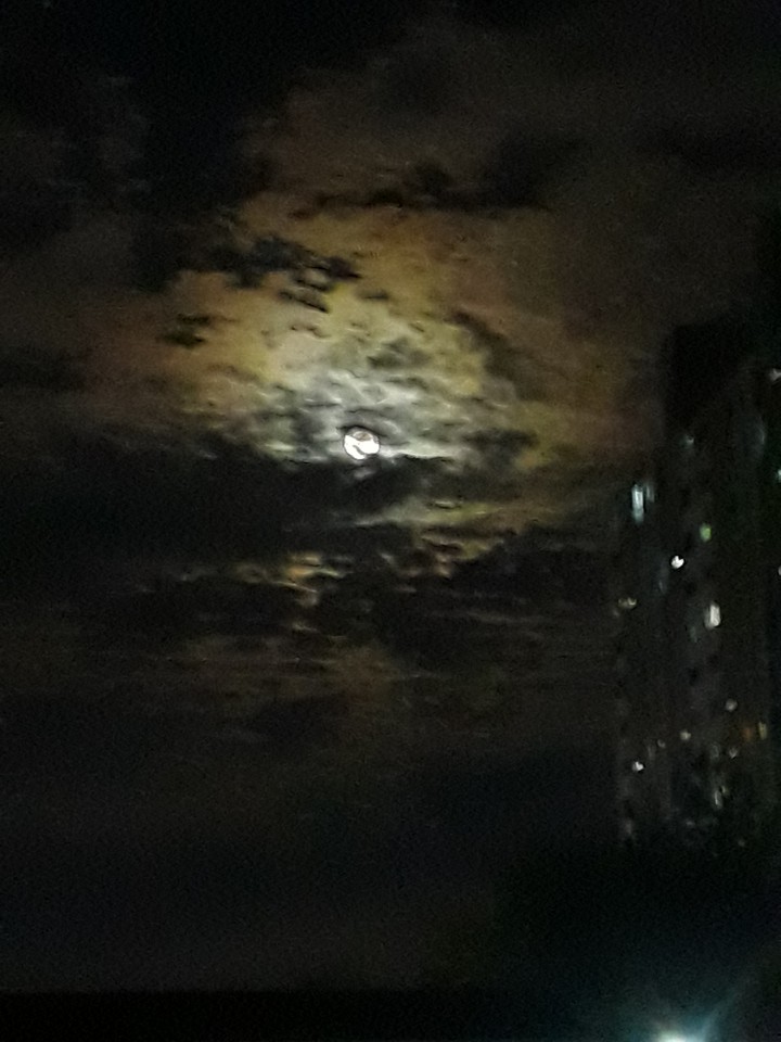 night