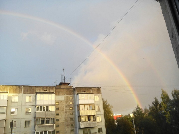радуга ynino