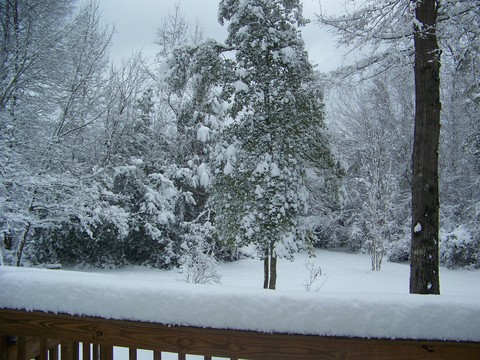 Winter Wonderland