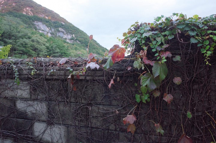 A wall