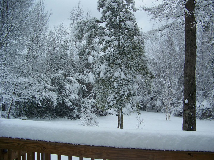 Winter Wonderland