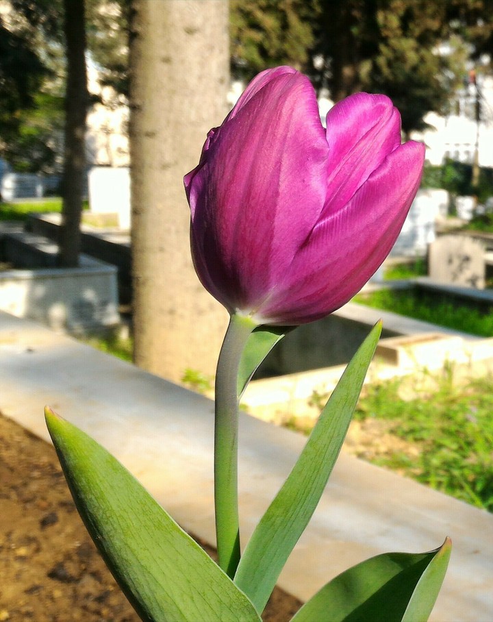 Son değil, yeni bir başlangıç...