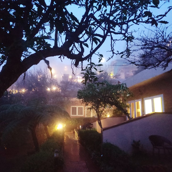 winter evening