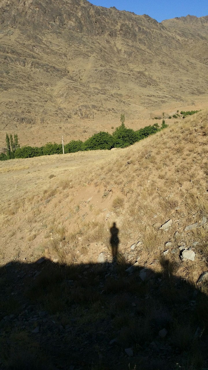 the shadow of me