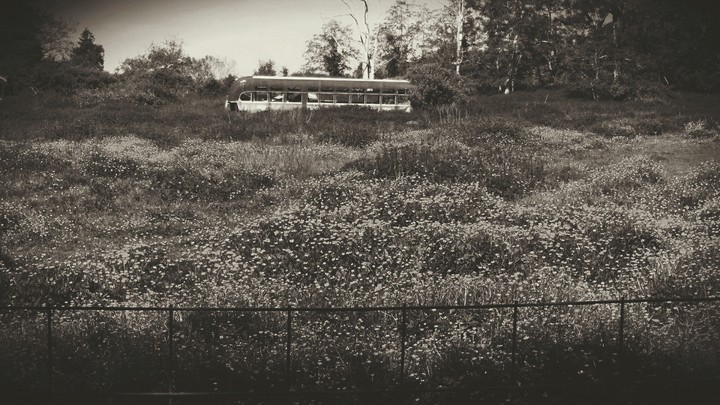 Abandoned Bus