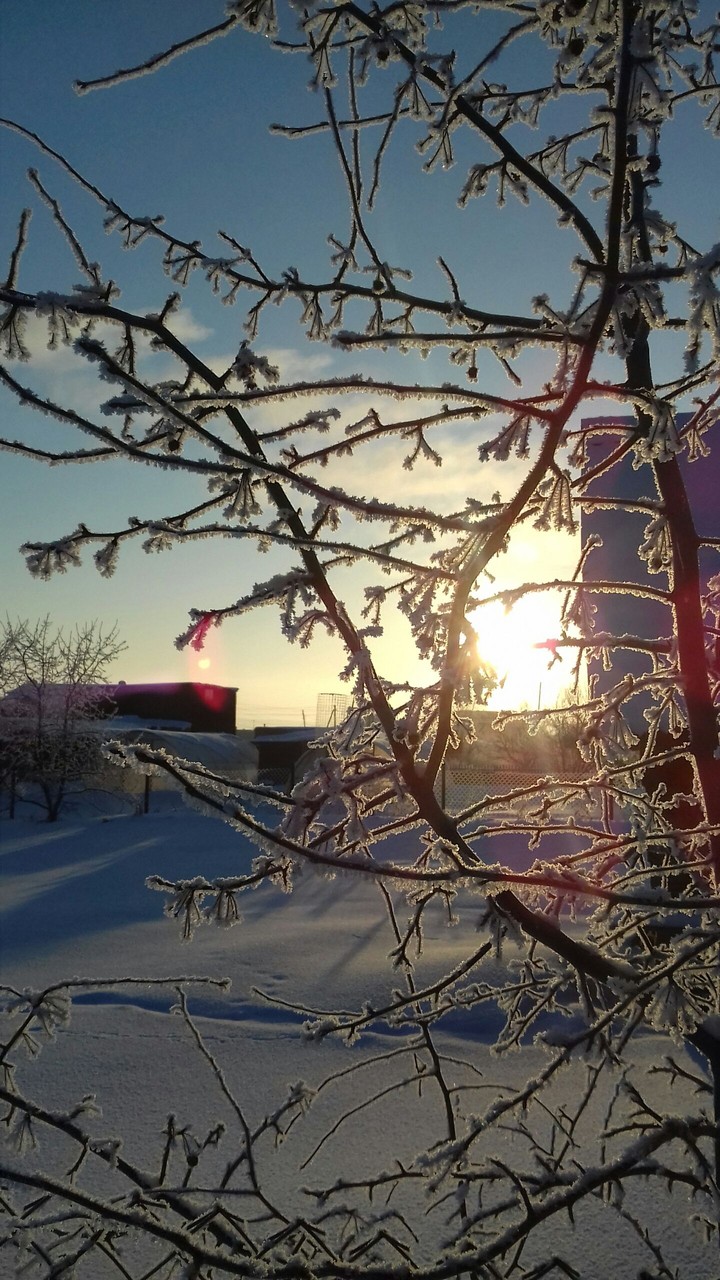 Зимнее утро❄