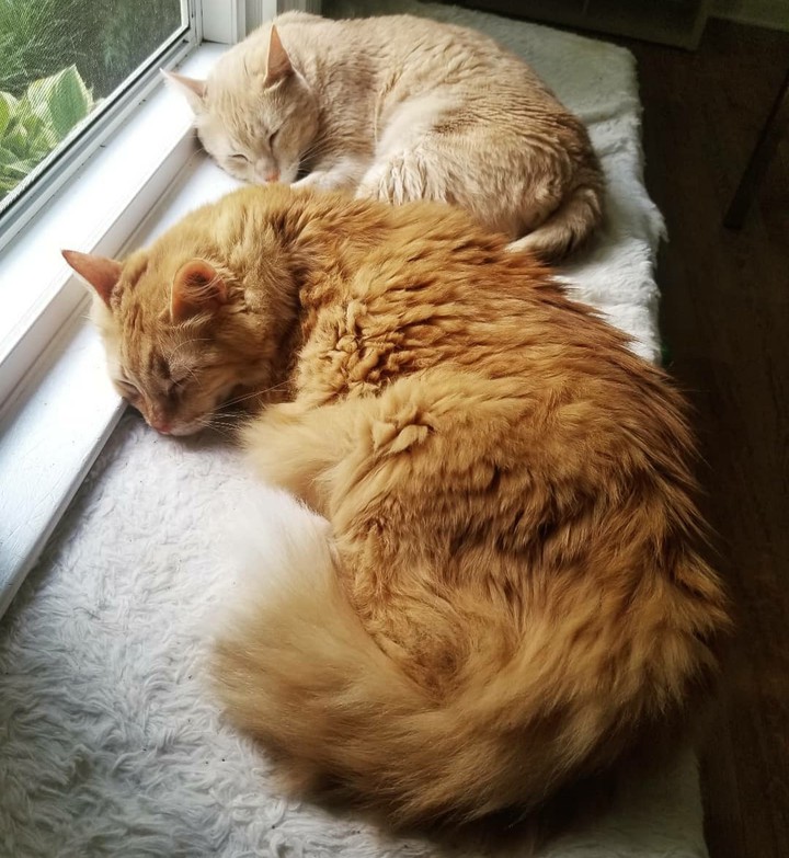 Kon y Tuko bbs dormidos