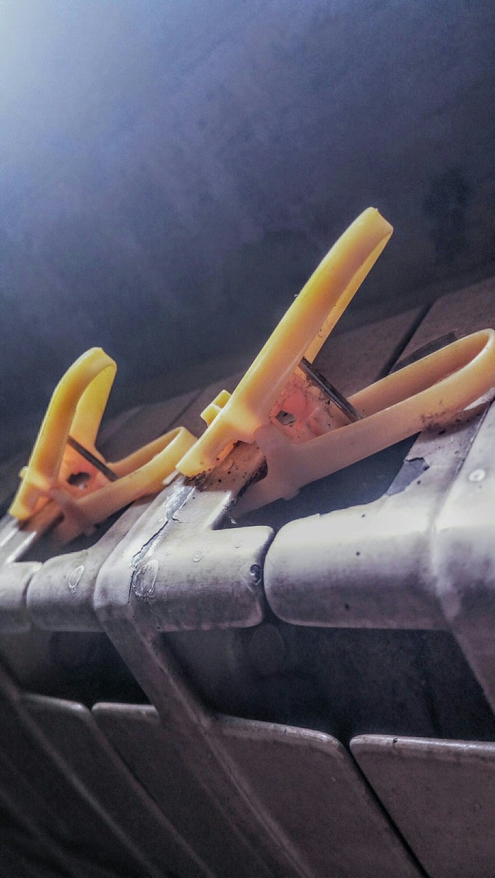 clothespins