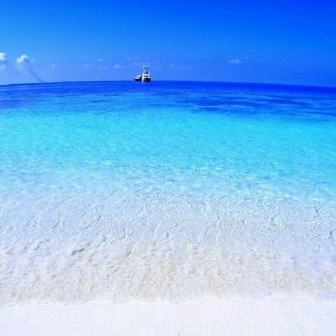 sea.