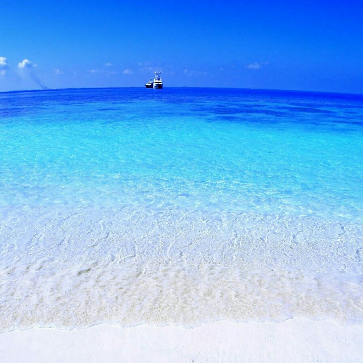 sea.