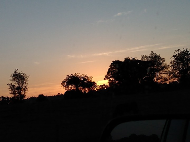 sunrise