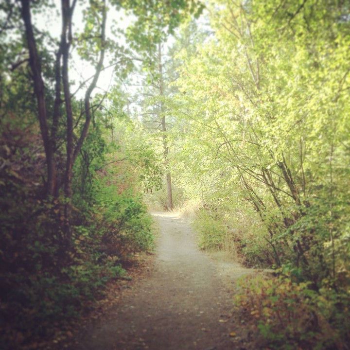Go take a hike