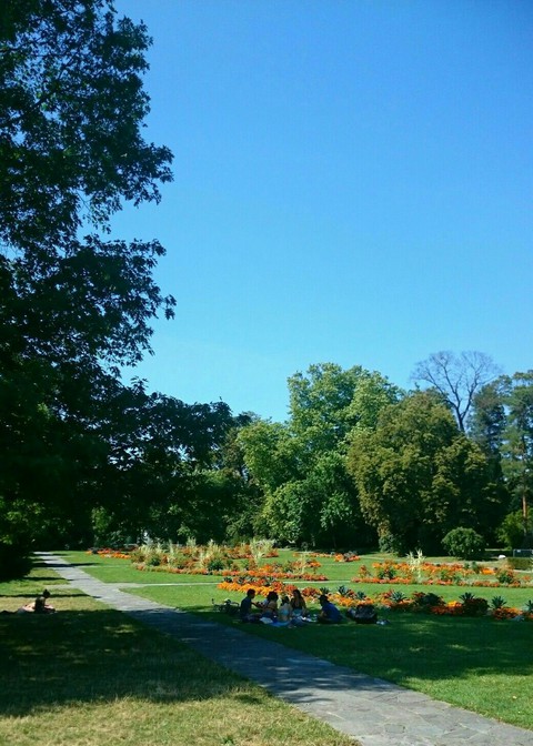 тапети geneva, botany