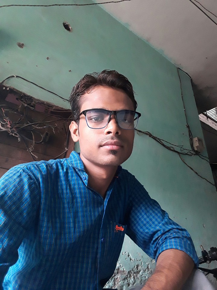 sharik