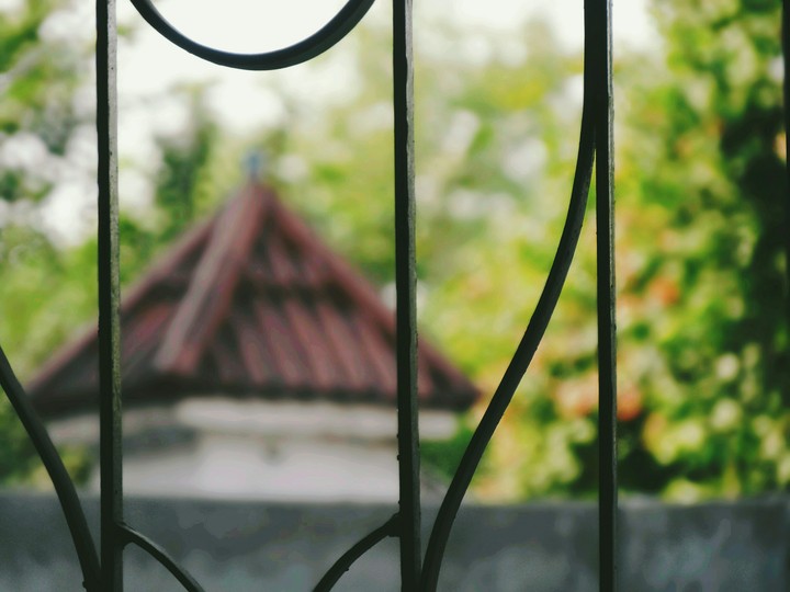 life in focus