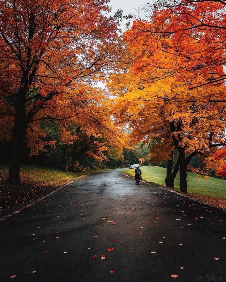 Autumn