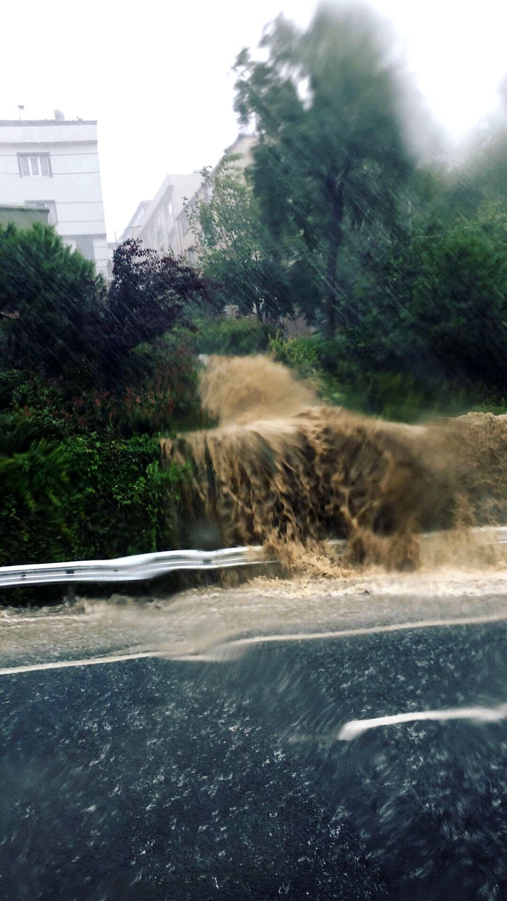 Rain